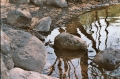 2003 Limmat 2